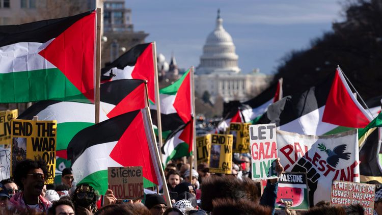 Illustration - Manifestation pro-palestinienne aux États-Unis