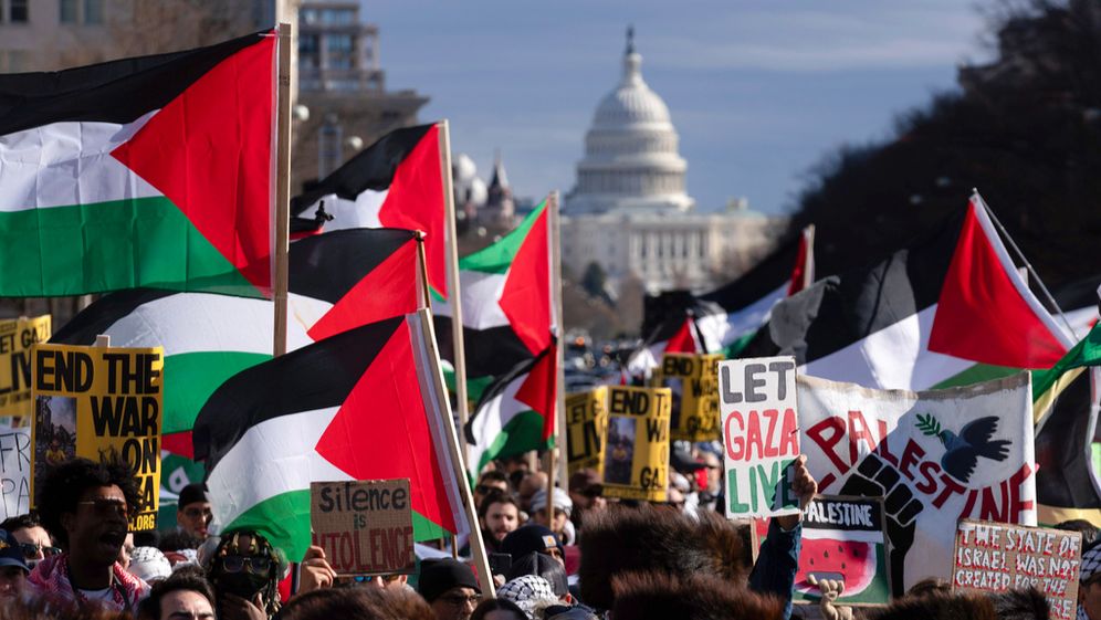 הפגנה פרו-פלסטינית בארצות הברית, ארכיון