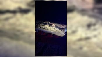 הטרקטור עליו היו הנעדרים בנחל הערבה, 26.03.26