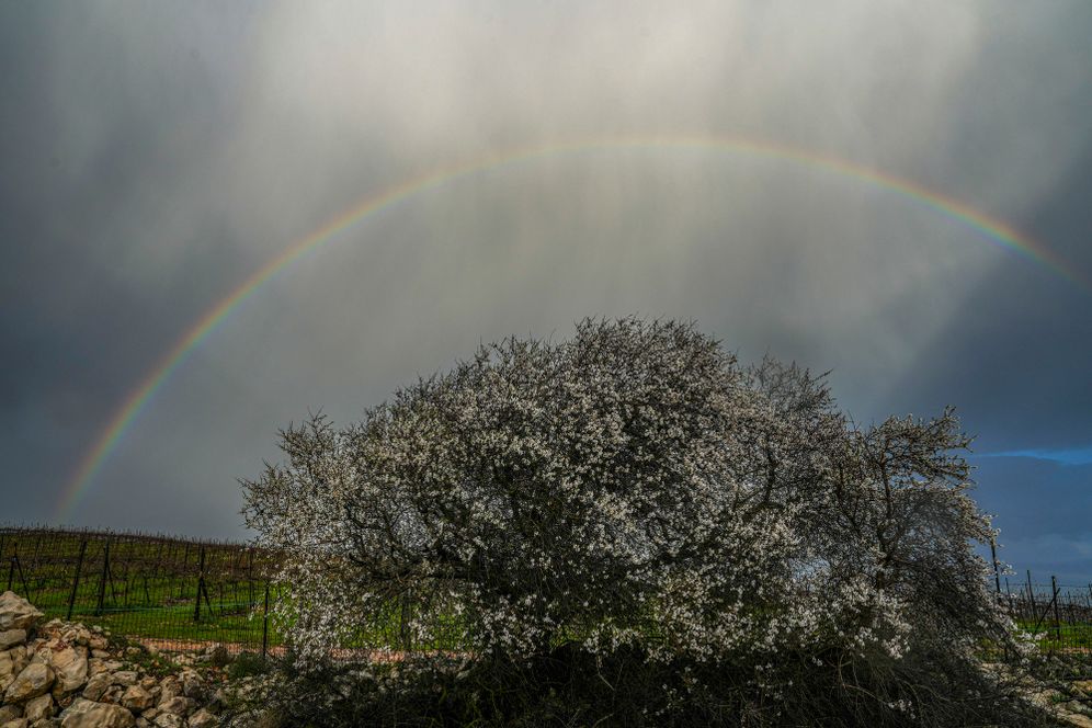 קשת בענן בגבול לבנון, ארכיון