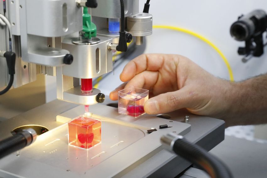 Des scientifiques présentent un prototype de cœur en 3D à partir de tissu humain à l'Université de Tel Aviv, le 15 avril 2019