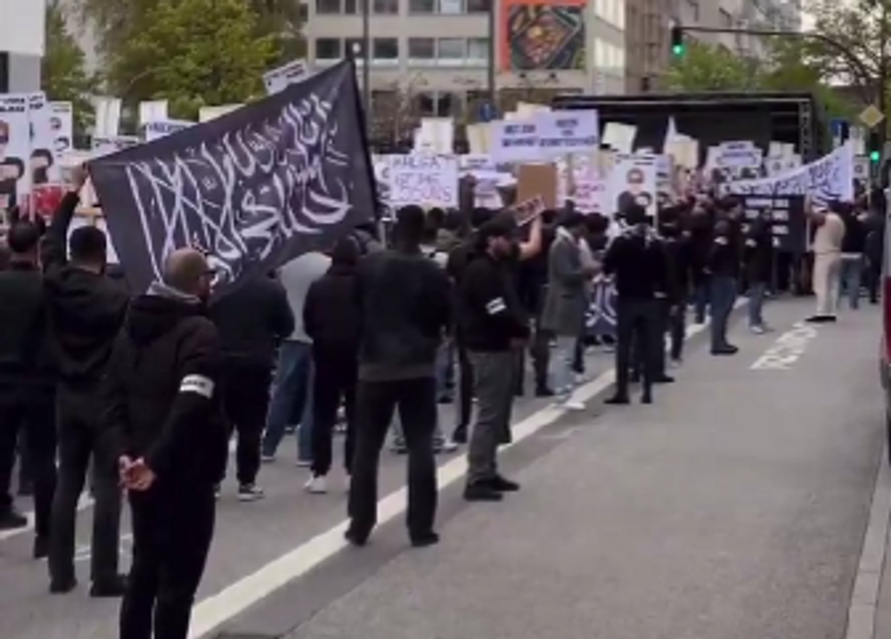 Protestors demonstrate in Hamburg, Germany. April 27, 2024.