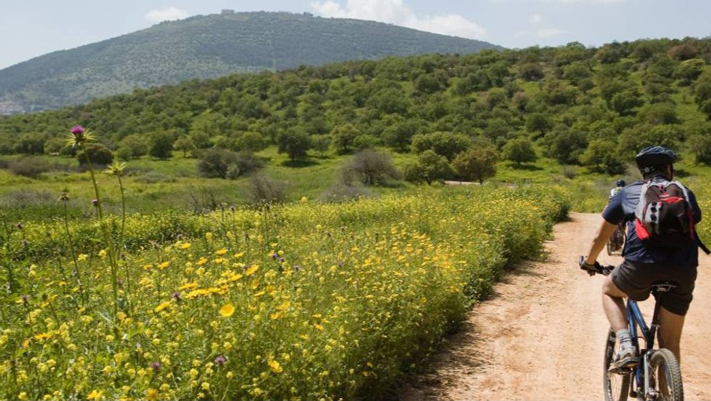 ארכיון הצילומים של קק"ל פריחה ביער בית קשת