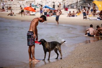 מתרחצים בחוף בתל אביב בזמן גל חום, ארכיון 