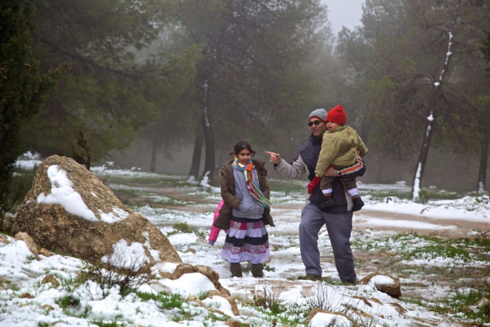 Snow in Yatir Forest of the Negev desert in southern Israel, on March 2, 2012.