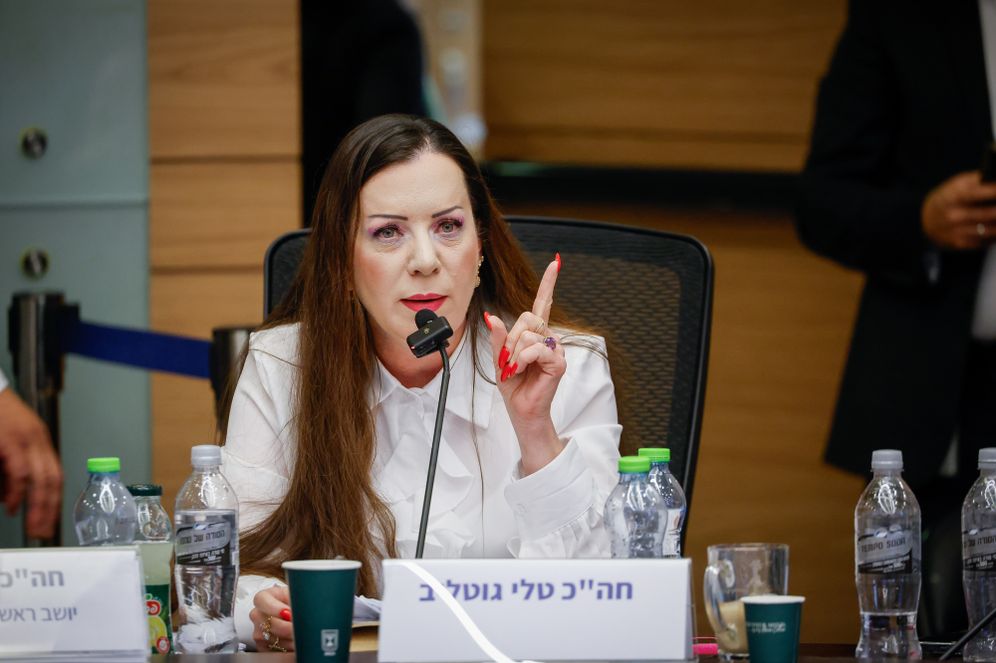 נועם מושקוביץ, דוברות הכנסת חברת הכנסת טלי גוטליב בדיוני הוועדה
