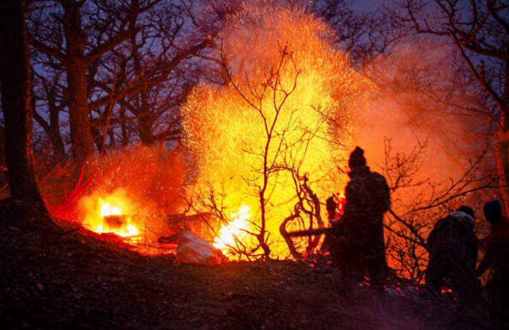 MEHRAB FARSAD / ISNA / AFP Des flammes ravagent des arbres dans les forêts de Chalus, en Iran, au milieu d'incendies qui ravagent depuis plusieurs jours les forêts hyrcaniennes du pays, le 21 novembre 2025.