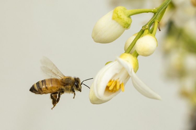 Israeli study shows ecosystems like the Coalition could collapse - I24NEWS Jack Guez / AFP