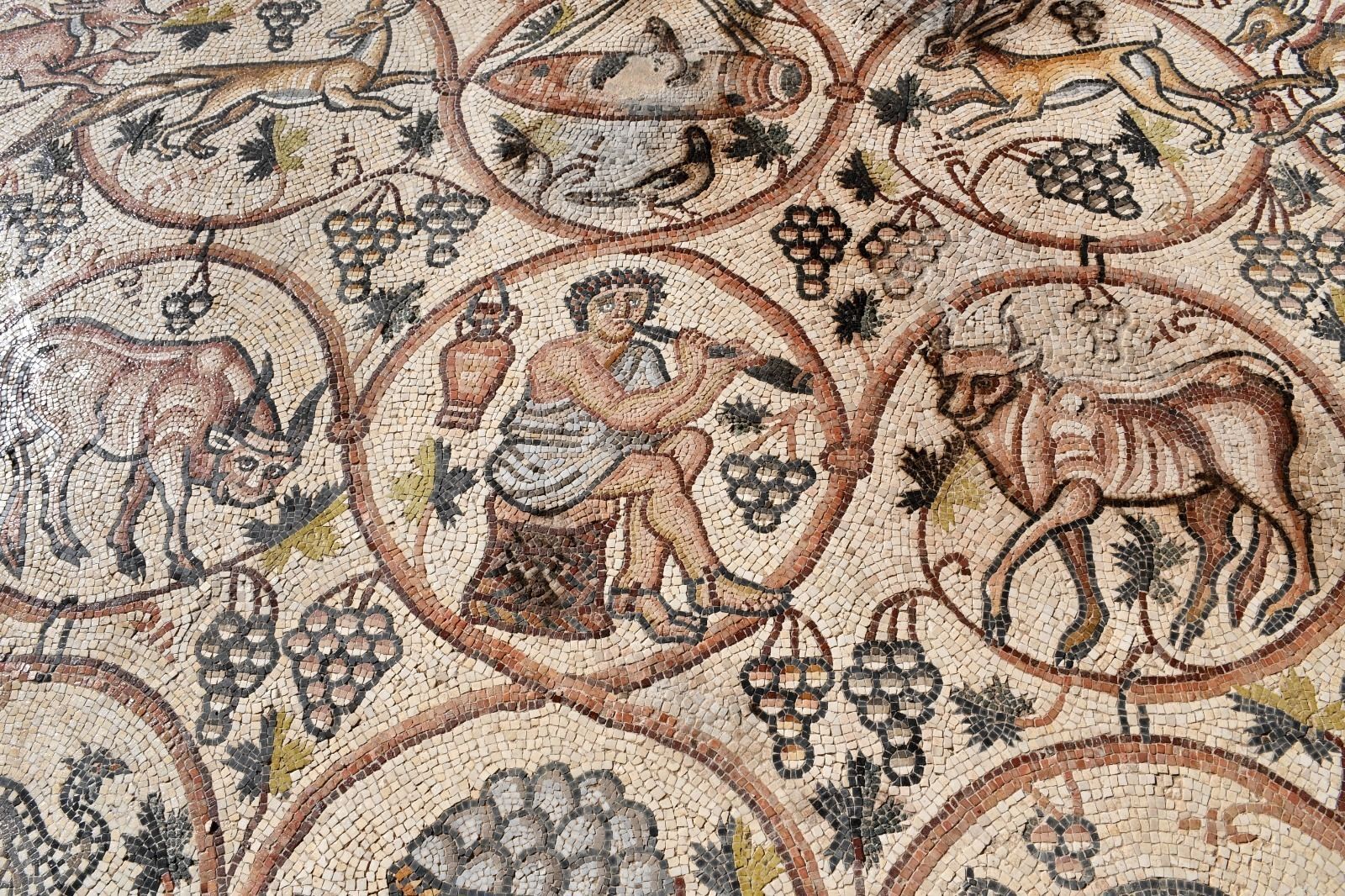 Mosaics hidràulics d´autor スペイン語