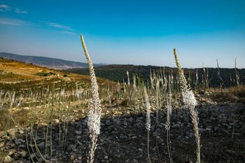 חצבים, מזג אוויר סתיו