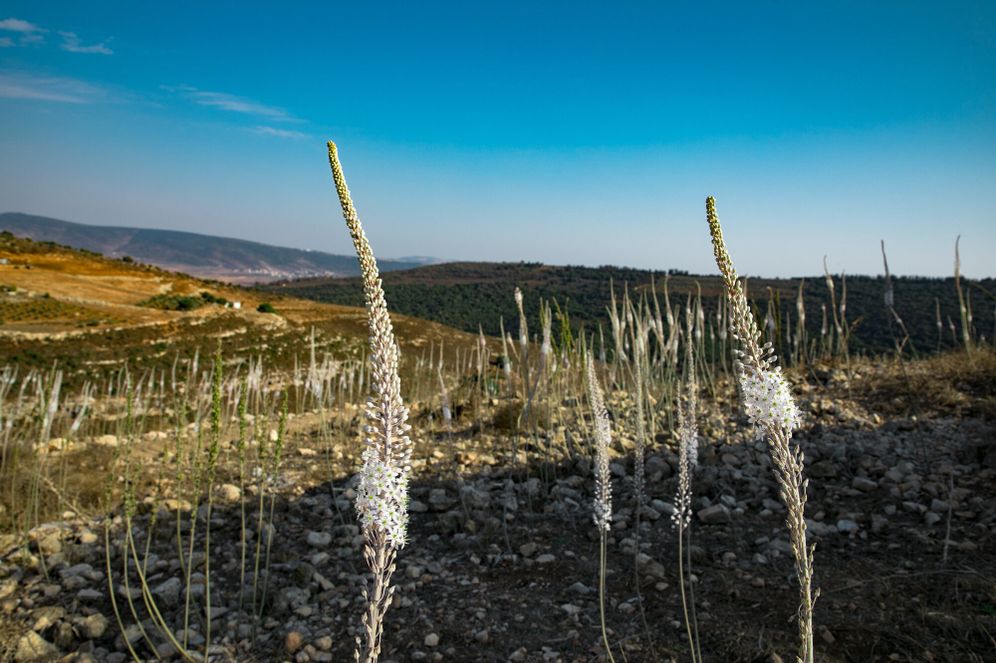 חצבים, מזג אוויר סתיו