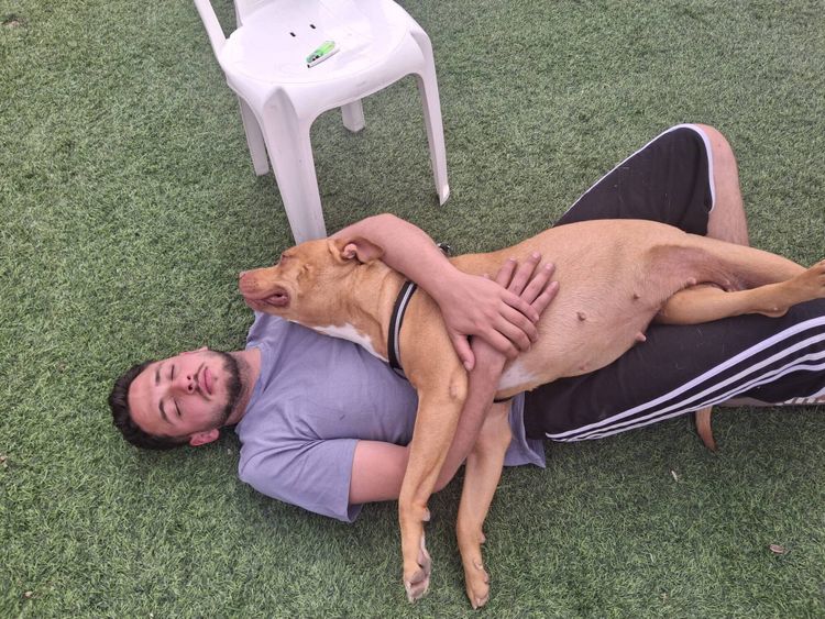 אלדר יצחק דיין