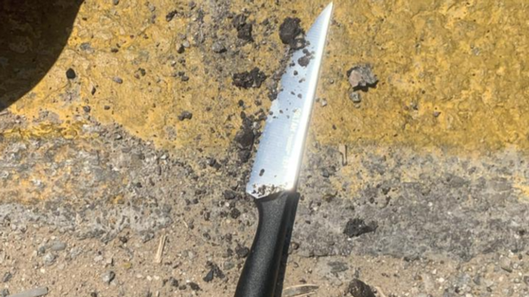 יחידת דובר צה