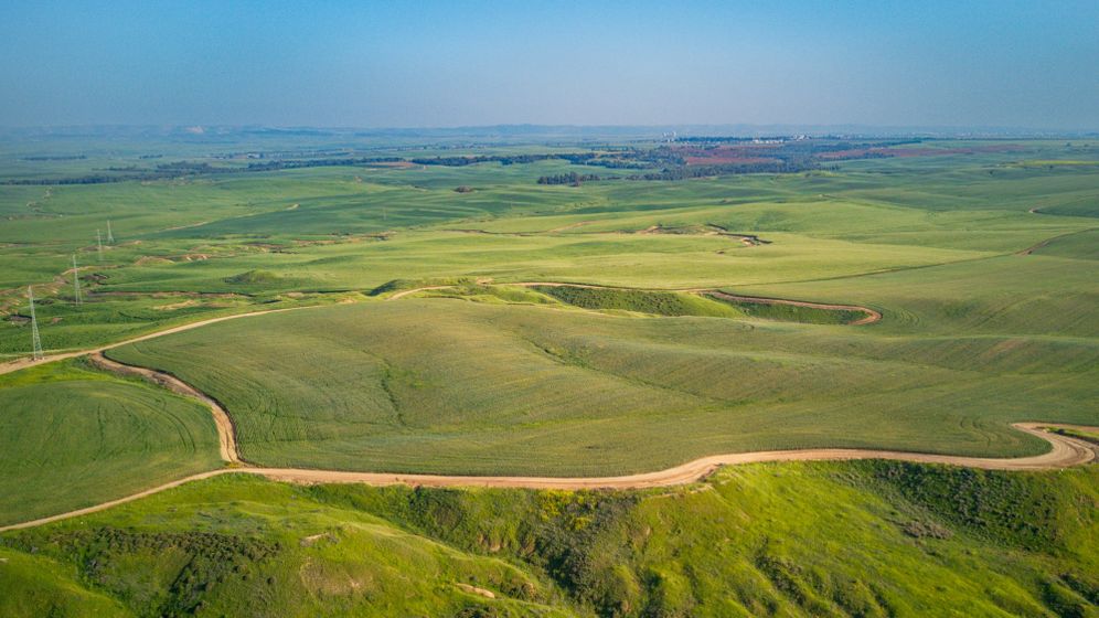 בתרונות רוחמה, ארכיון