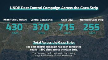 Gaza : une vaste campagne de lutte contre les nuisibles déployée sur près de 1 800 sites
