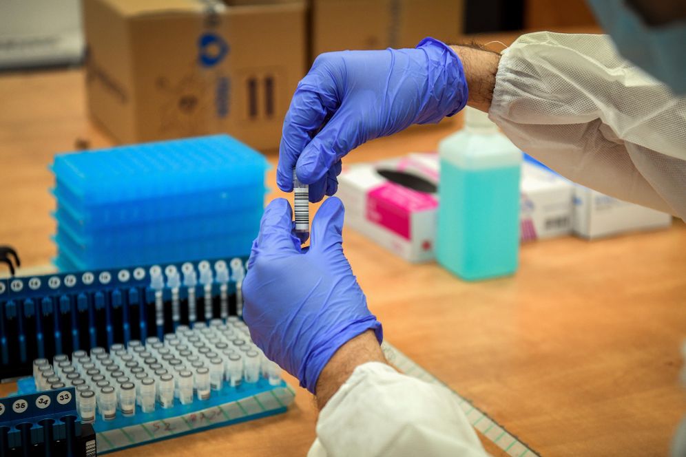 فيروس كورونا