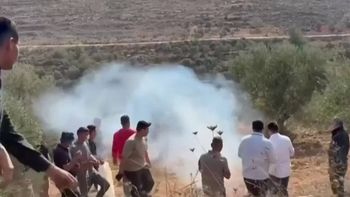 موسم الزيتون في الضفة مهدد.. خسائر زراعية وقيود على المزارعين وعراقيل أمام التصدير