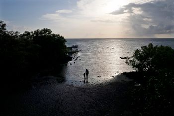 הפיליפינים, ארכיון