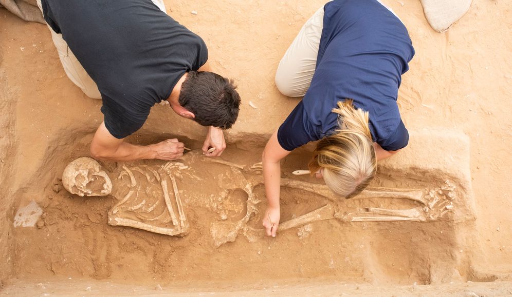 Excavation of the Philistine Cemetery at Ashkelon.