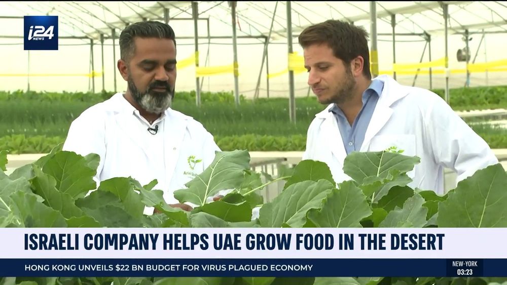 Ariel Global Links CEO Gabriel Talker (L) shows i24NEWS Middle East Correspondent Alec Pollard lettuce plants grown through hydroponic farming in Israel on February 23, 2022.