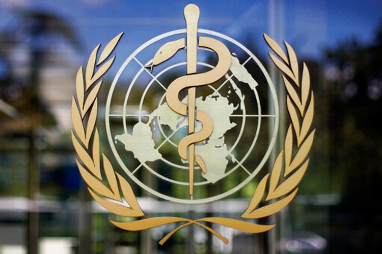 The logo of the World Health Organization is seen at its headquarters in Geneva, Switzerland, June 11, 2009.