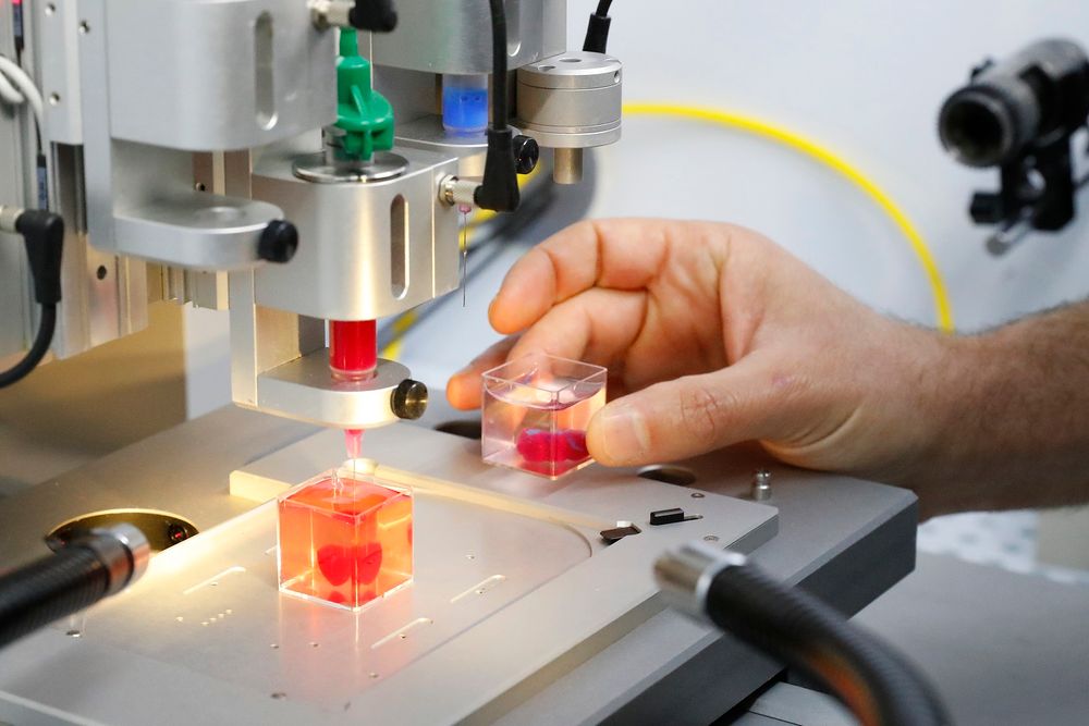 Illustration/This photo taken on April 15, 2019 at the University of Tel Aviv shows a 3D print of heart with human tissue.