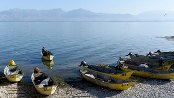 Le lac Shkodra, Albanie
