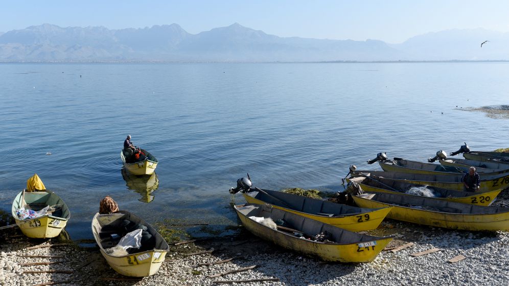 Le lac Shkodra, Albanie