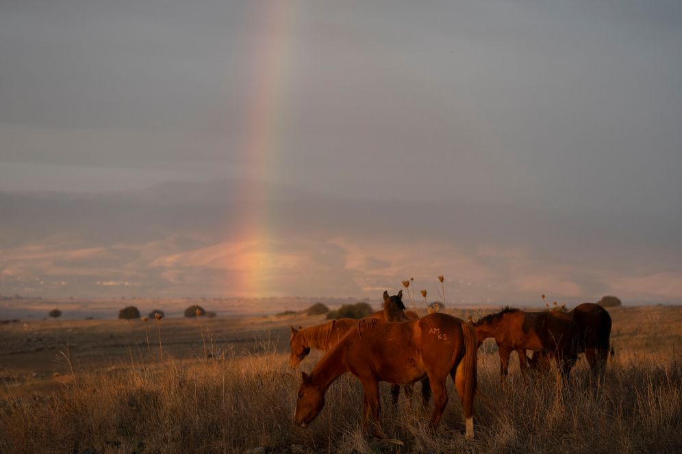 מיכאל גלעדי/פלאש 90 מזג אוויר מעונן חלקית / גשום, ארכיון