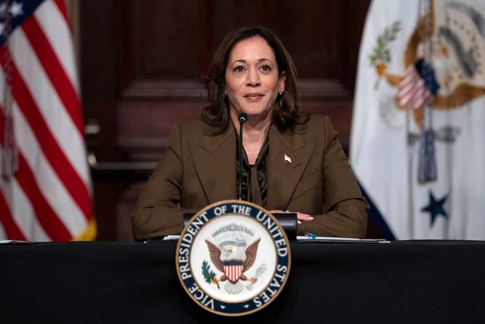 Vice President Kamala Harris speaks during a meeting with voting rights leaders, in the Indian Treaty Room, Tuesday, February 27, 2024.