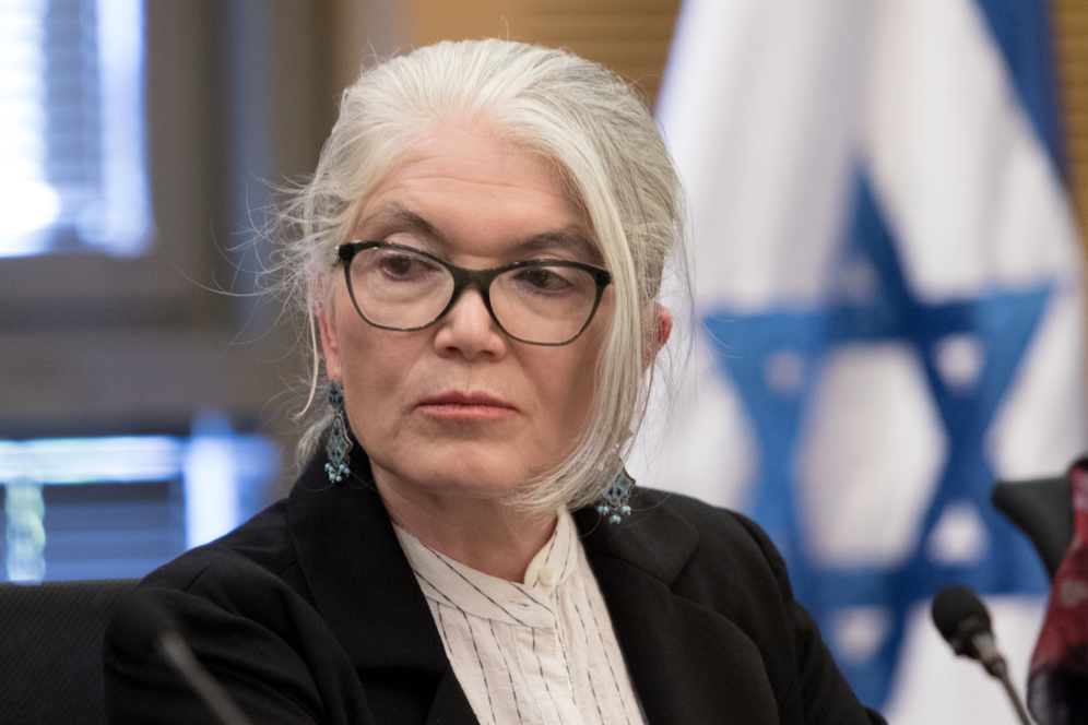 Molly Malekar, executive director of Amnesty International Israel, attends a committee session organized by the Joint List party at the Knesset, on November 19, 2019.