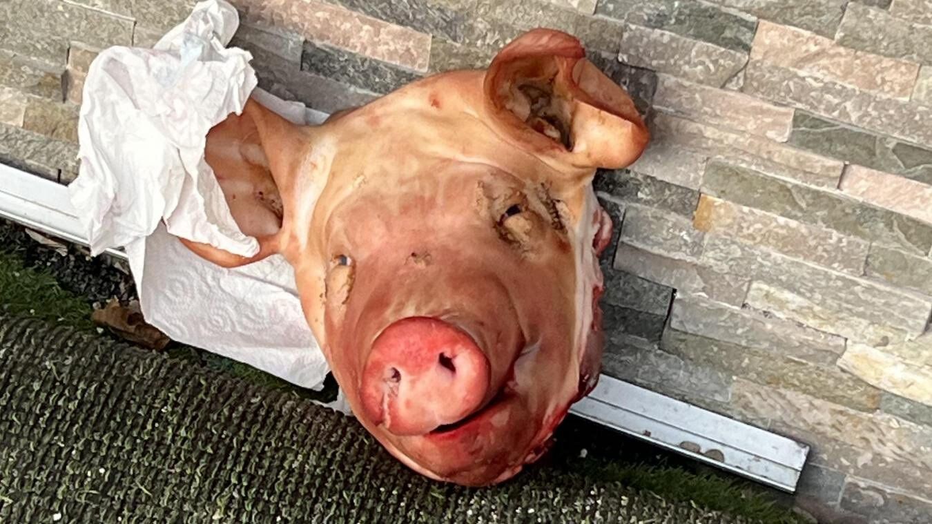 Des têtes de porc placées devant des mosquées à Paris et région parisienne