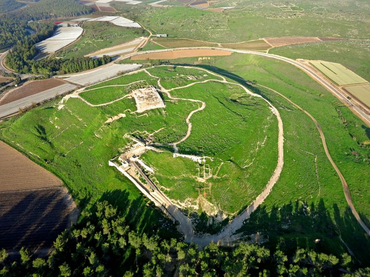 Emil Aladjem, Israel Antiquities Authority