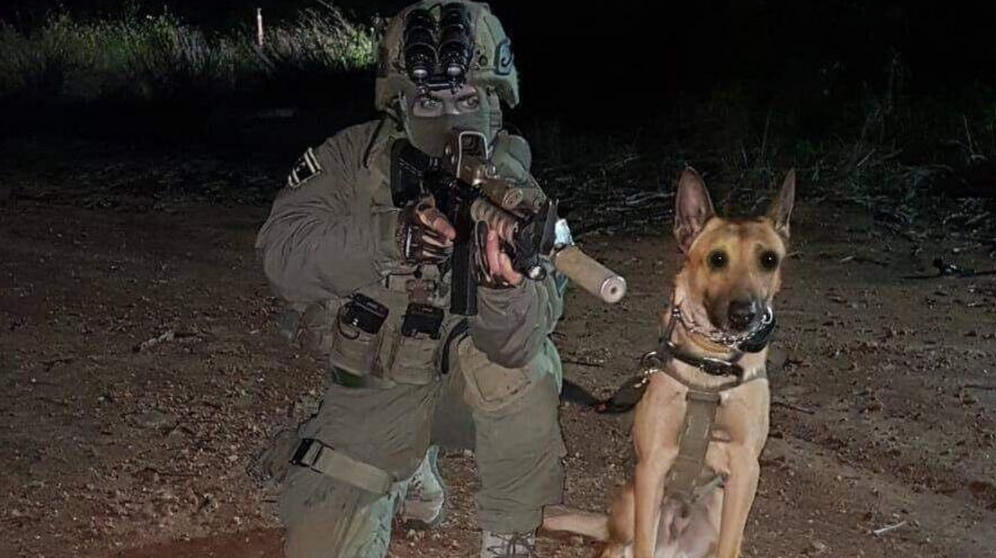 Zili, le chien vétéran Yamam K-9