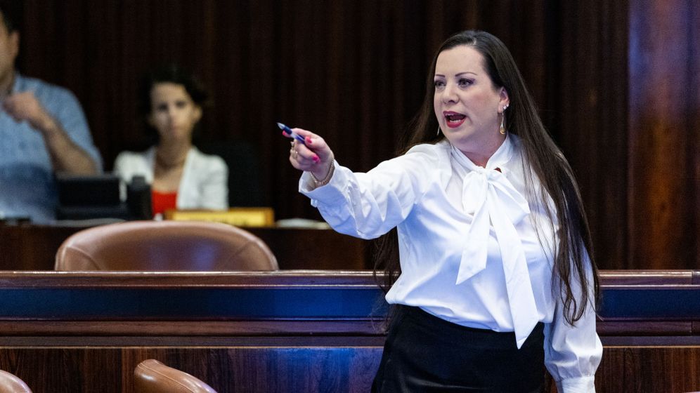 חברת הכנסת טלי גוטליב, ארכיון