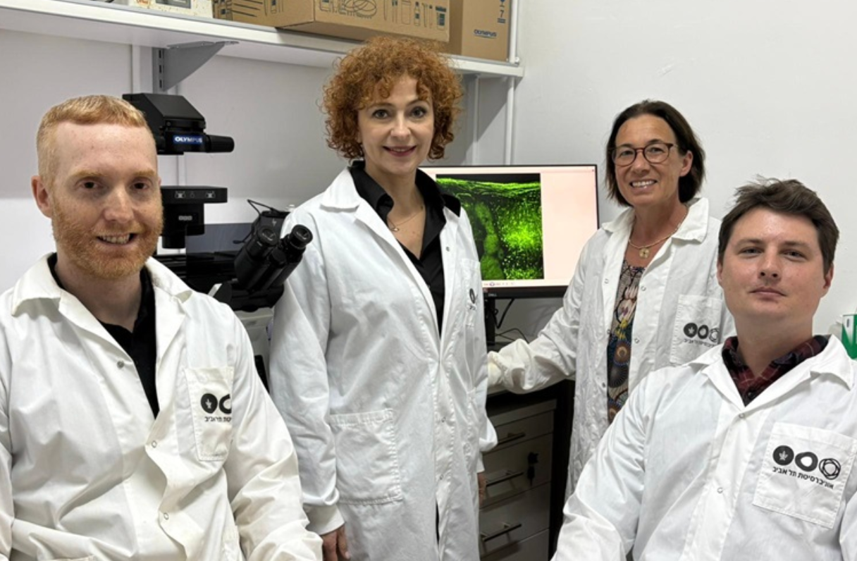 Université de Tel-Aviv : une avancée majeure contre les lésions de la moelle épinière