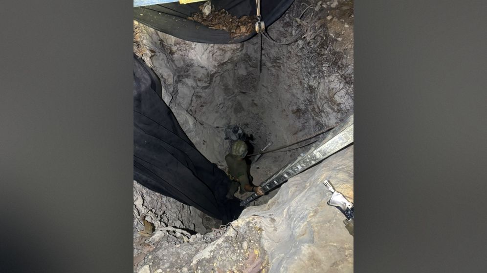 דובר צה"ל הפירים שאותרו בשרון