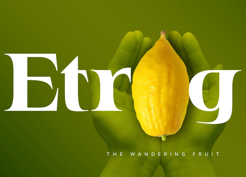 The Fascinating History and Symbolism of the Etrog: Exploring the Rare Fruit of Jewish Tradition
