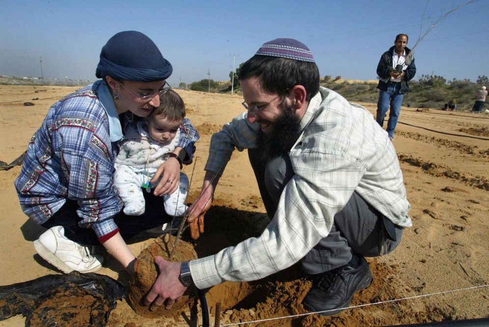 A Jewish settler and his family plant a tree during the Jewish feast of Tu B'Shevat.