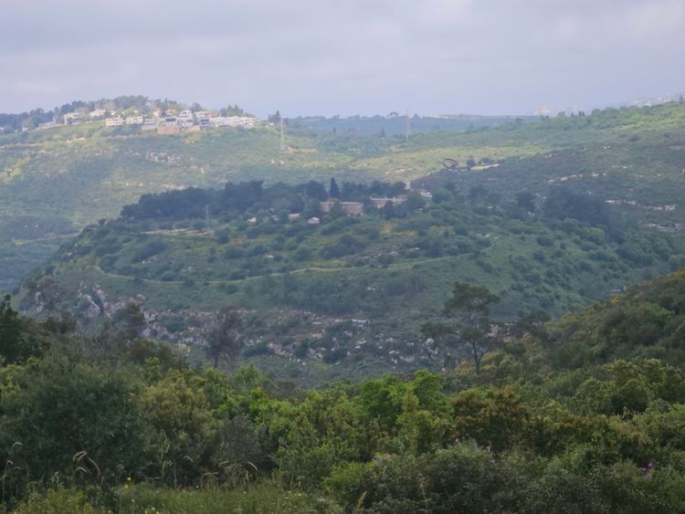 בטיול ליד הבית: נער מצא בכרמל טבעת בת 1,800 שנה עם חריתה של האלה אתנה ...