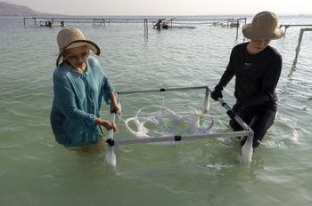 Israeli artist Sigalit Landau (L), helped by an assistant, pulls out one of her artworks from the Dead Sea, Israel, on August 2, 2022.