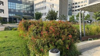 הגן שנקרא על שמו של הנשיא לשעבר חיים הרצוג ז"ל בבית החולים אסותא באשדוד