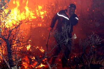 حرائق ضخمة تجتاح أكثر من 20 هكتار من الغابات  في الجزائر