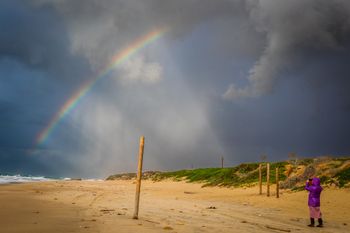 חוף פלמחים באביב, ארכיון