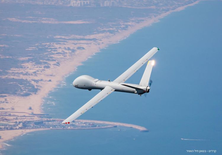 Elbit*
