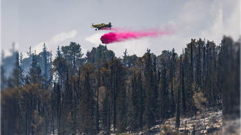 Les opérations d'extinction de l'incendie dans les collines de Jérusalem, aujourd'hui.