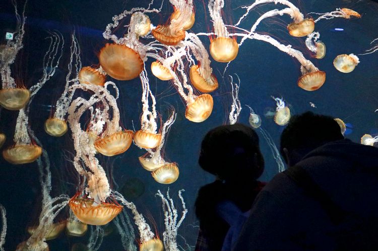 Who Wants To Live Forever? Technology May Make It Possible - But Is It Plausible? - I24NEWS Who Wants To Live Forever? Technology May Make It Possible - But Is It Plausible? - I24NEWS