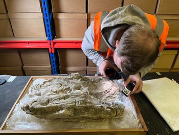 "Seeing the Dead" project member studying the burial cast of a Roman infant, April, 2026.
