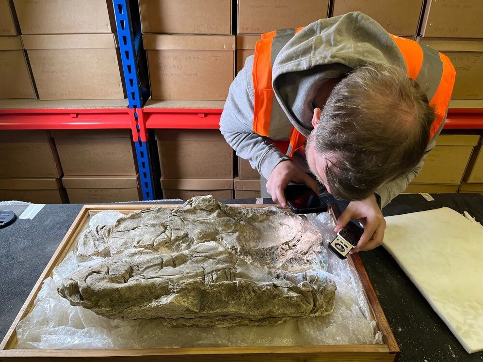 University of York "Seeing the Dead" project member studying the burial cast of a Roman infant, April, 2026.