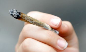 Le Parlement allemand a légalisé le cannabis à usage récréatif, avec une majorité de 407 voix favorables contre 226.